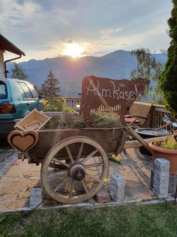 Príroda v okolí apartmánu
