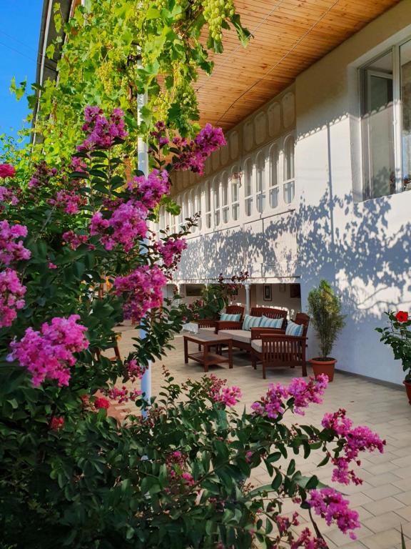 Jardí fora de Nazy's Guest House