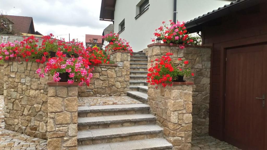 Fotografie z fotogalerie ubytování Nad Hřištěm 441 v destinaci Horní Planá