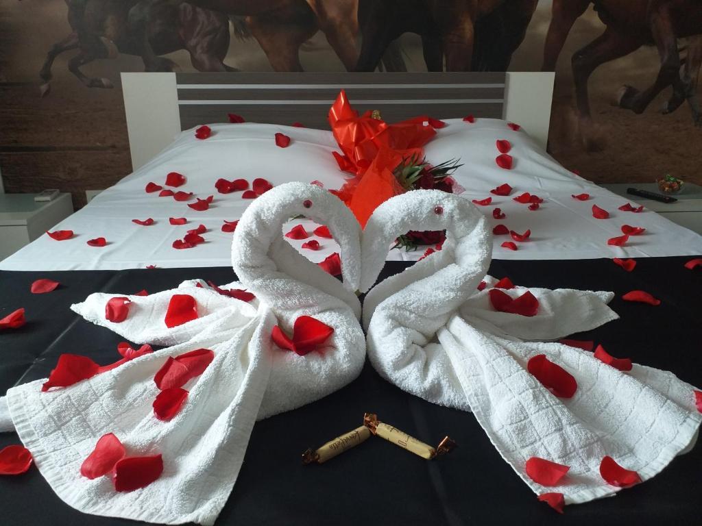 Fotografie z fotogalerie ubytování Hotel Hobby v destinaci Hunedoara