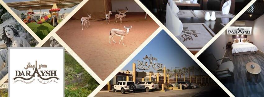 Daraysh Hotel - Resim 45