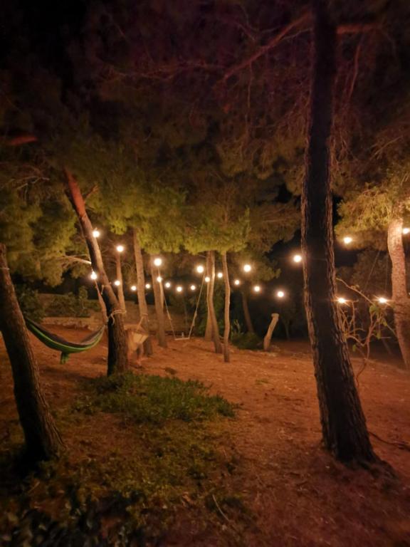 Giardino di La Casa Nella Pineta - Gallipoli