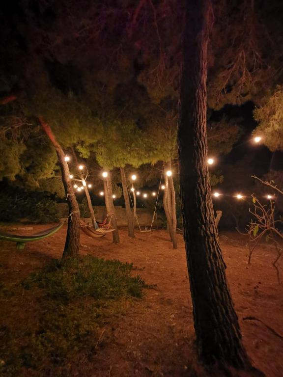 Foto dalla galleria di La Casa Nella Pineta - Gallipoli a Gallipoli