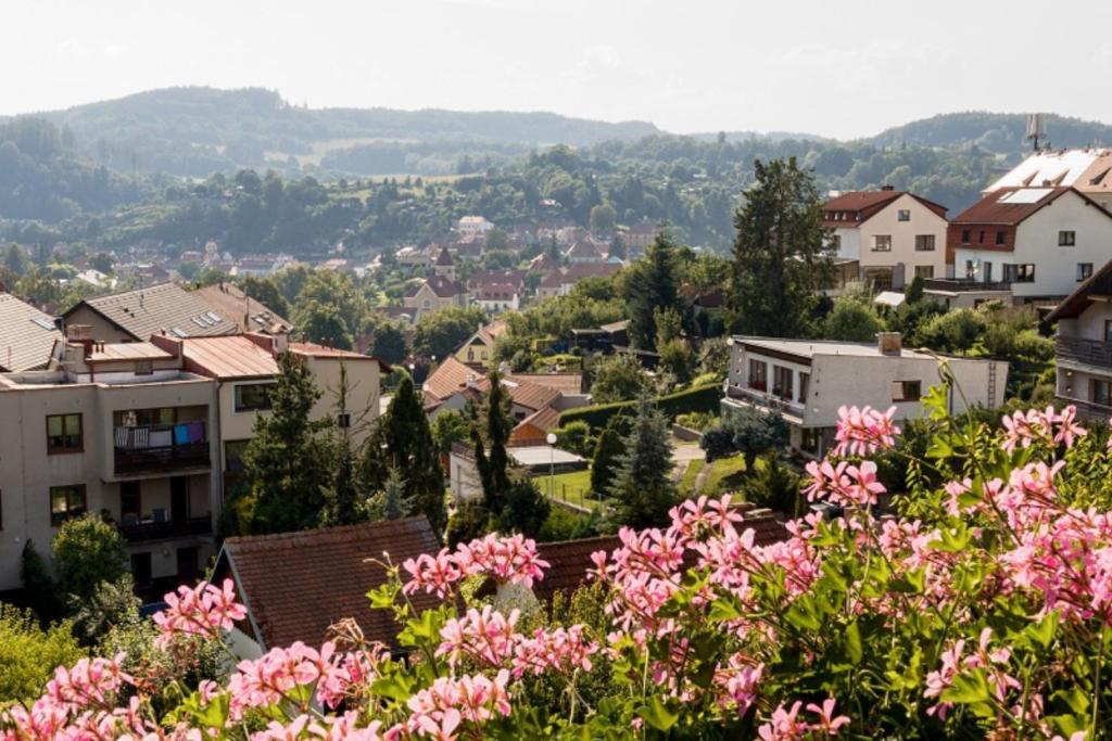 Výhľad na hory alebo výhľad na hory priamo z of the bed and breakfast