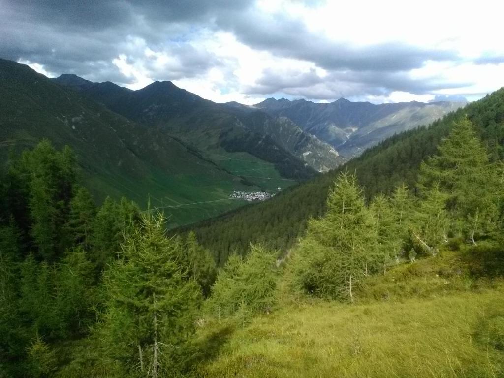 Příroda nedaleko apartmánu