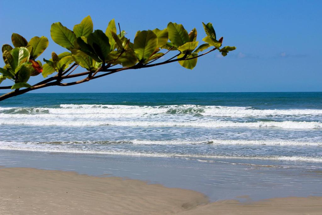  OBA 46 - APARTAMENTO NA PRAIA - UBATUBA/SP