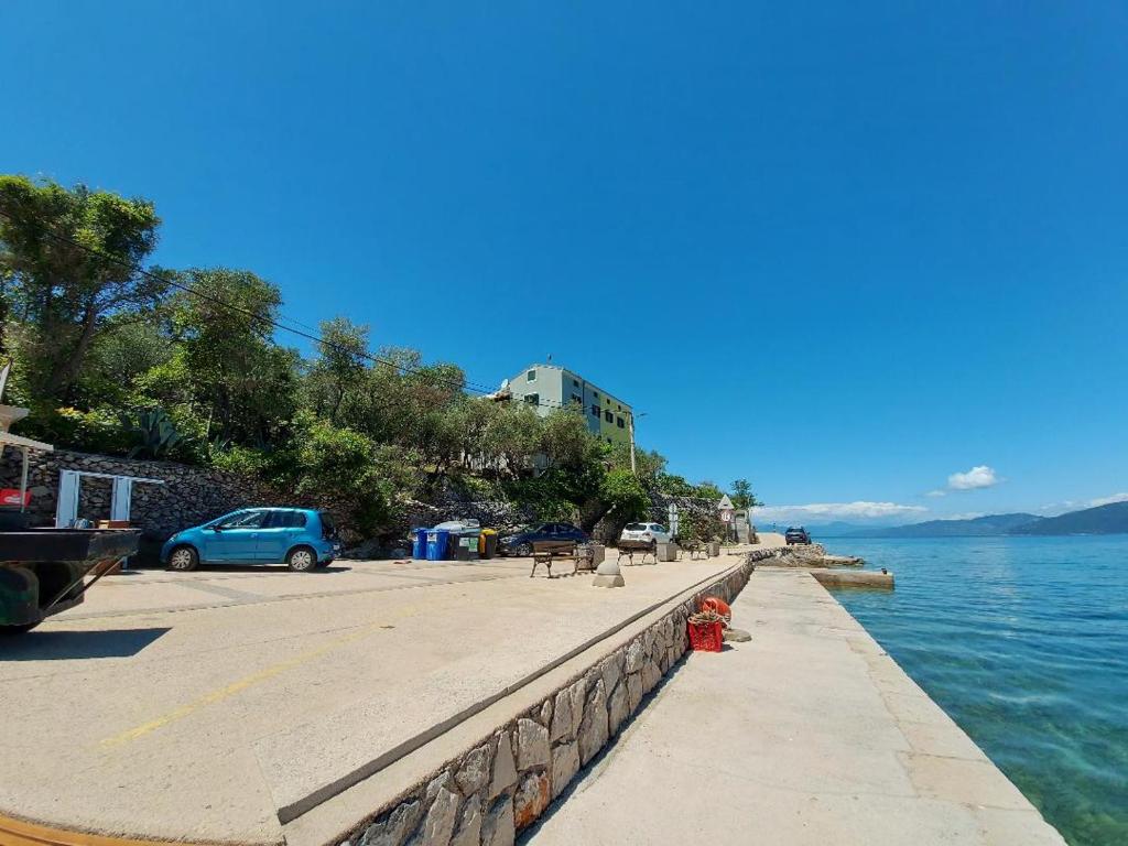 a road next to a body of water with a blue car at Apartments Valun in Valun