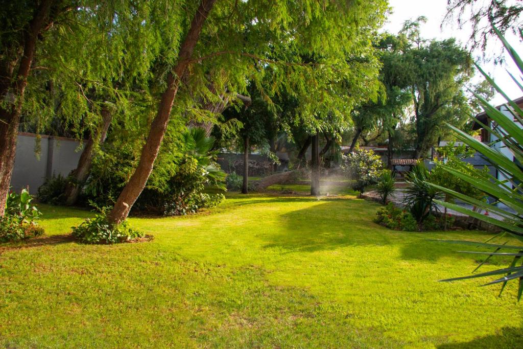 Zahrada ubytování Hotel Sol y Fiesta
