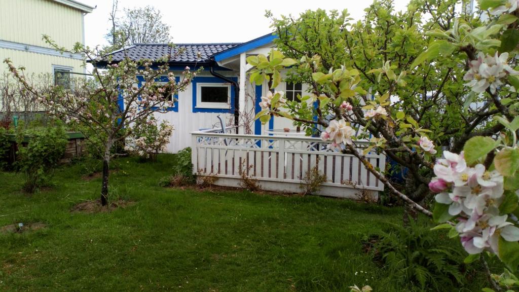 ファルケンベリにあるGäststugaの塀と木のある青白家