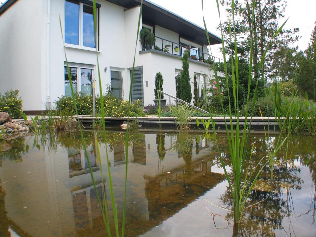 une maison avec un étang en face de celle-ci dans l'établissement Ferienwohnung in Waldrandlage, à Zierenberg