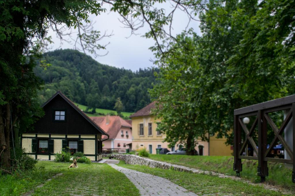 Příroda nedaleko prázdninového domu