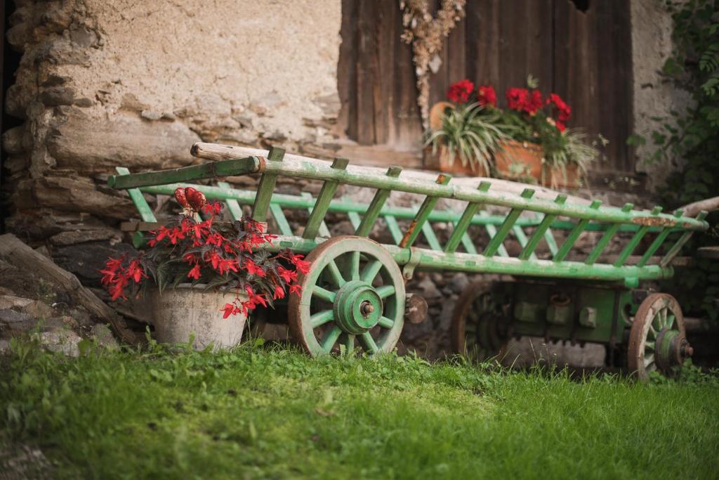 Zahrada ubytování Untermairhof B&B Christine
