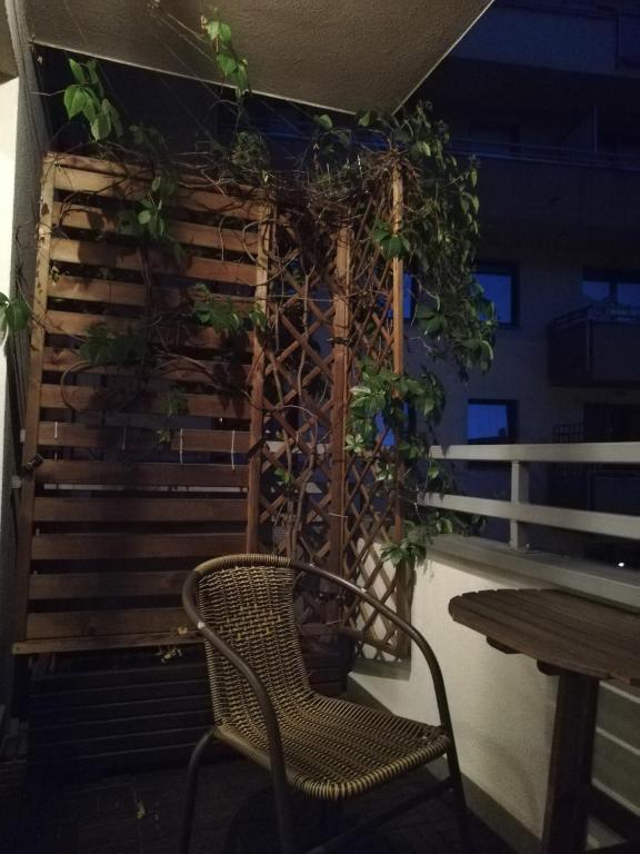 W Krakowie u Helenki - 13