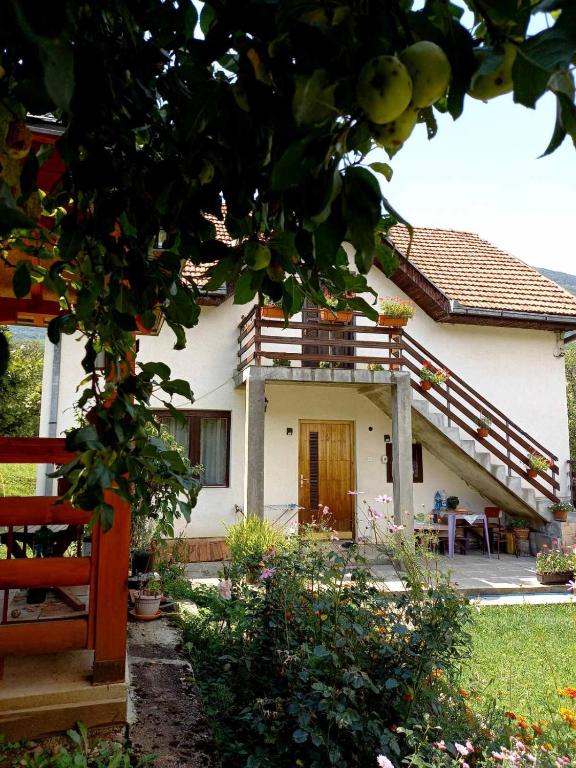 Zahrada ubytování Apartment Sijakovic