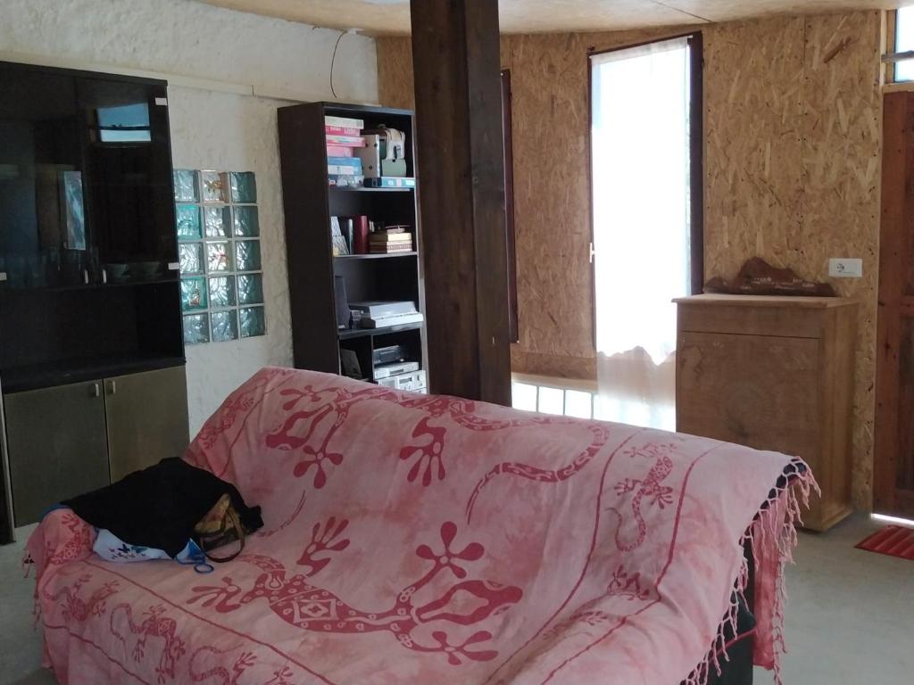 pies leżący na różowej kanapie w obiekcie Casa Carlo w mieście Alghero