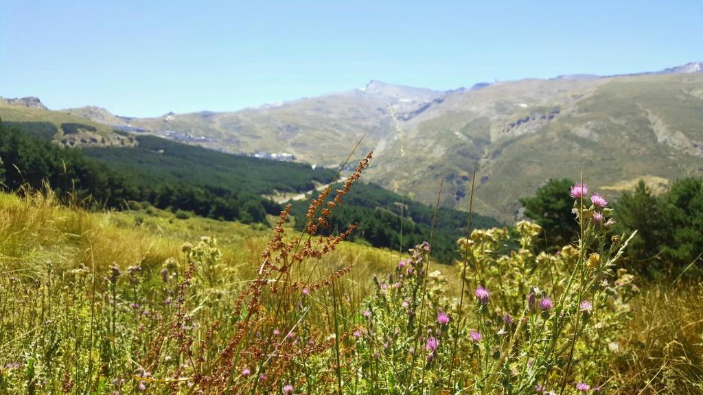 Zdjęcie z galerii obiektu Dúplex acogedor con vistas y Garaje opcional w mieście Sierra Nevada