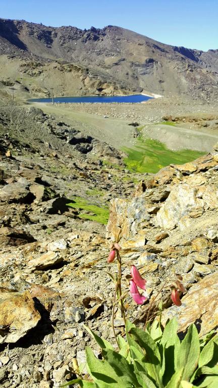 Zdjęcie z galerii obiektu Dúplex acogedor con vistas y Garaje opcional w mieście Sierra Nevada