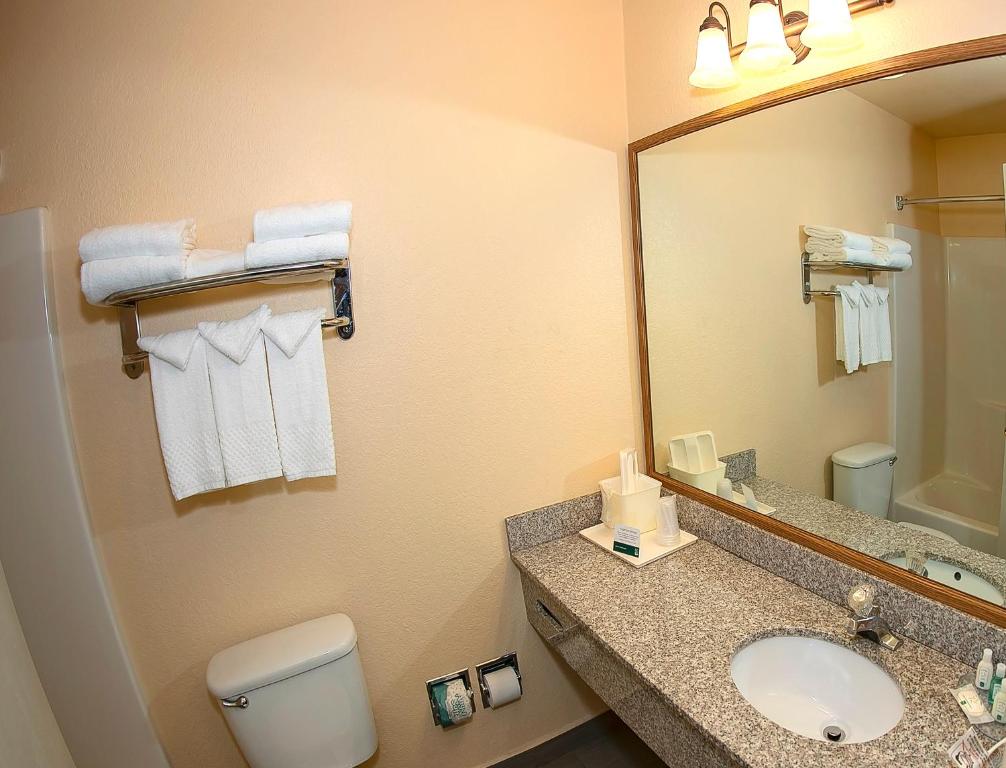Quality Inn & Suites Crescent City Redwood Coast - 标准大号床间 - 带两张大号床 - 禁烟