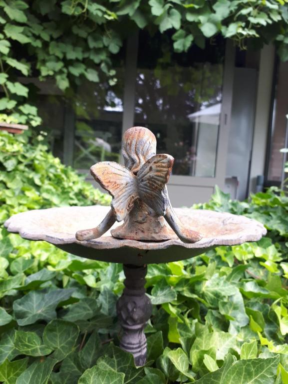 Zahrada ubytování Beaux Temps b&b