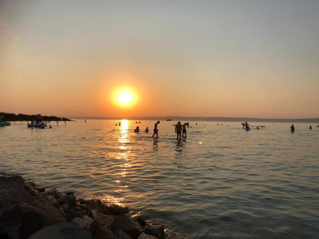 Príroda v okolí apartmánu
