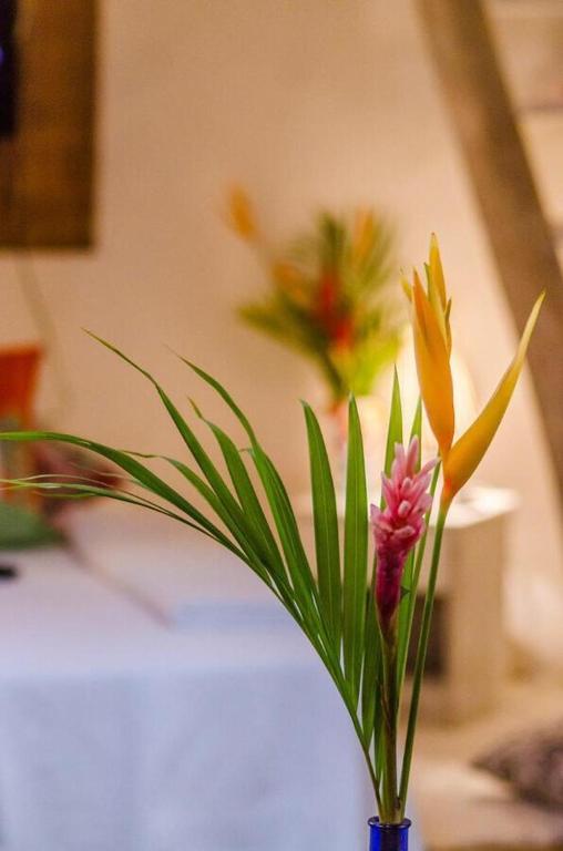  Hospedaria da Elma Trancoso