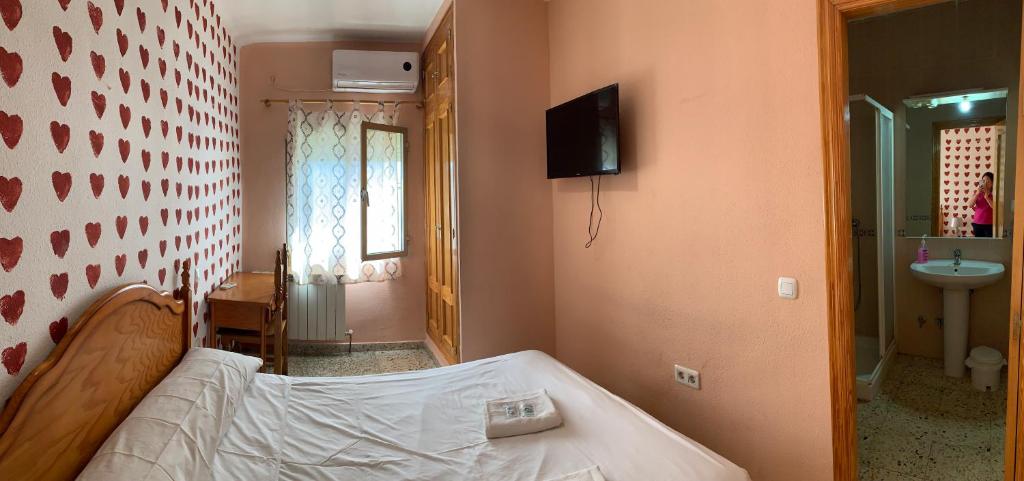 TV a/nebo společenská místnost v ubytování Hostal Seseña