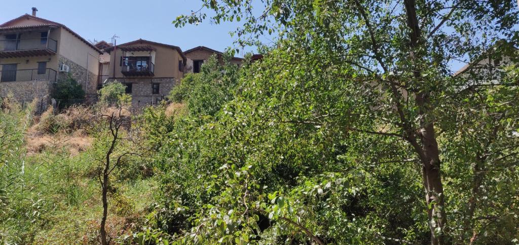 Zahrada ubytování Minaides Hotel