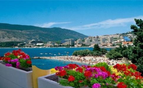 イガロにあるApartmani M Igalo Crna Goraのバルコニーから花の咲くビーチの景色を望めます。
