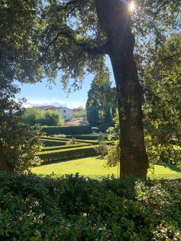 Zahrada ubytování Villa Gerini