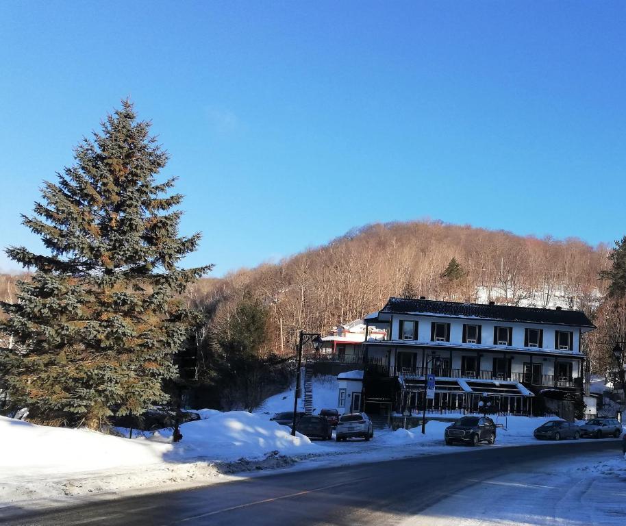 a christmas tree in the snow next to a building at Hotel Mont-Tremblant in Mont-Tremblant