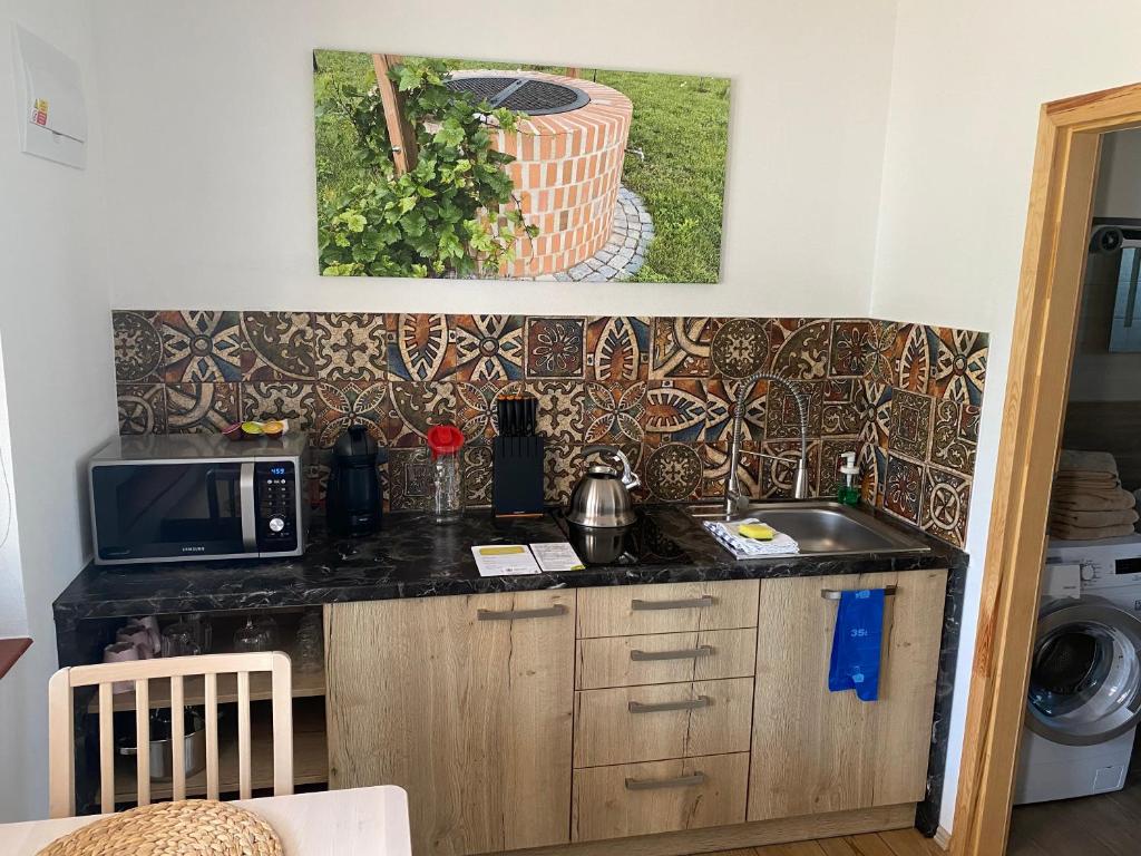 Kuchyň nebo kuchyňský kout v ubytování Apartmány Přítluky