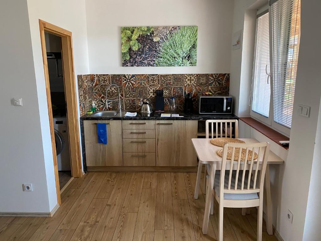 Kuchyň nebo kuchyňský kout v ubytování Apartmány Přítluky