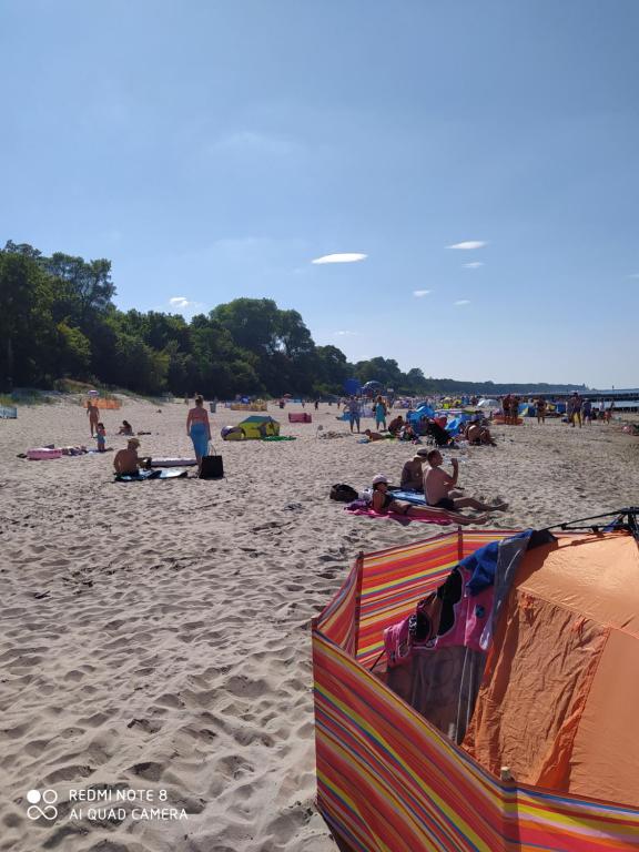 Príroda v okolí apartmánu