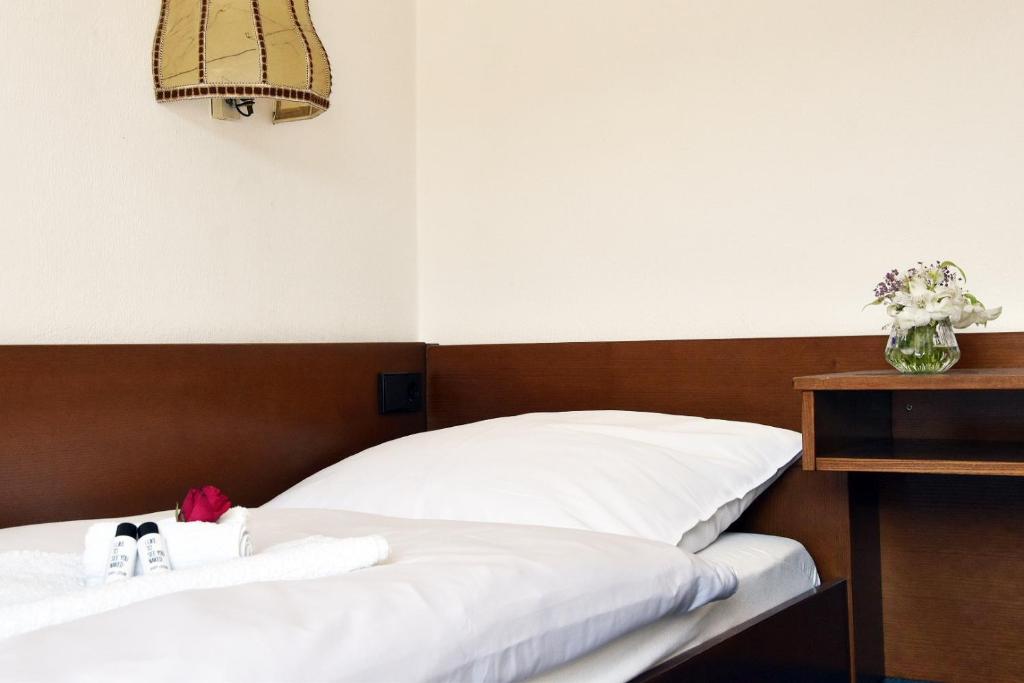 Hotel Goldene Rose - Chambre Simple Avec Douche
