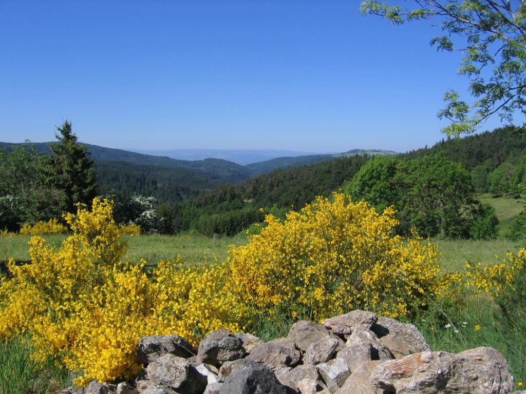 Příroda nedaleko bed and breakfast