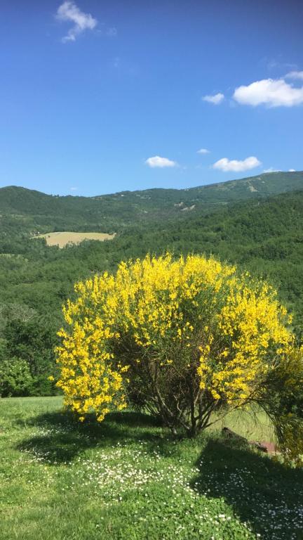 Príroda v okolí apartmánu