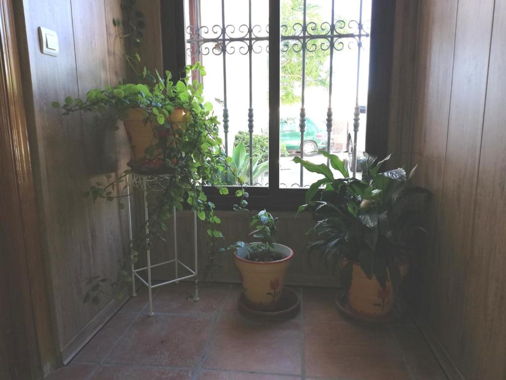 Fotografie z fotogalerie ubytování Hostal Breñaverde v destinaci Gaucín
