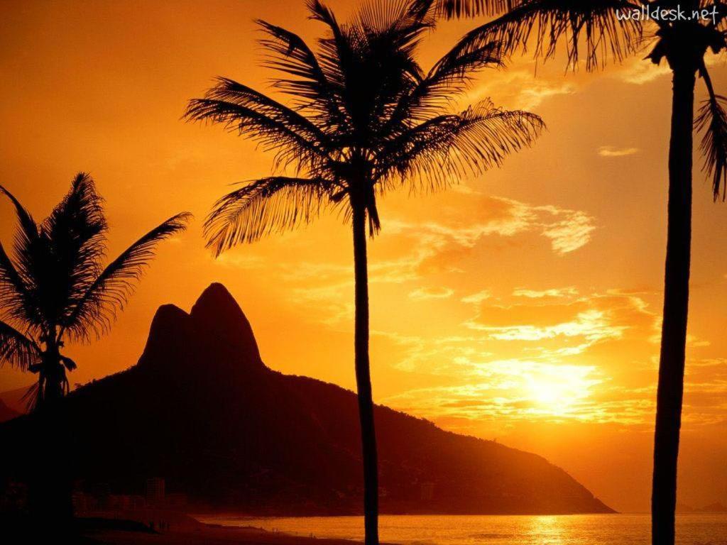  Mansao de Praia