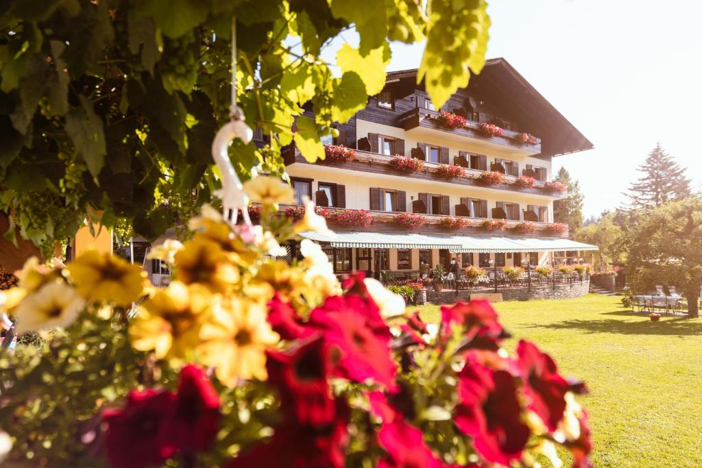 Zahrada ubytování Hotel Berghof