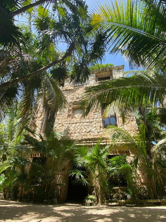 Zahrada ubytování Sueños Tulum