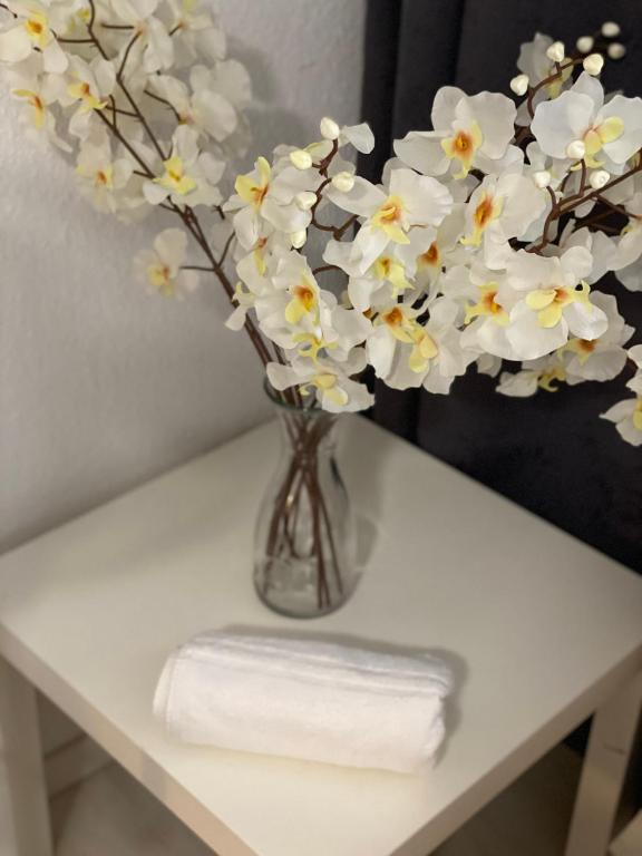 Central Shared Apartment, Friesenplatz - Camera Doppia Budget