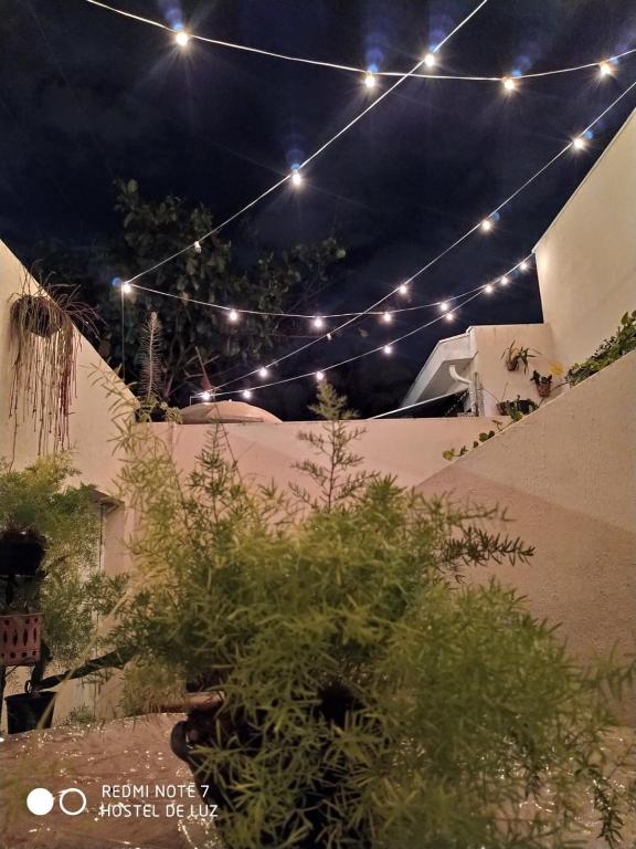 a string of lights over a garden at night at Hostel de Luz - Unidade 1 in Campinas