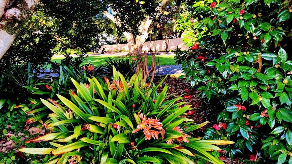 Moon Gate Villa - Resim 16