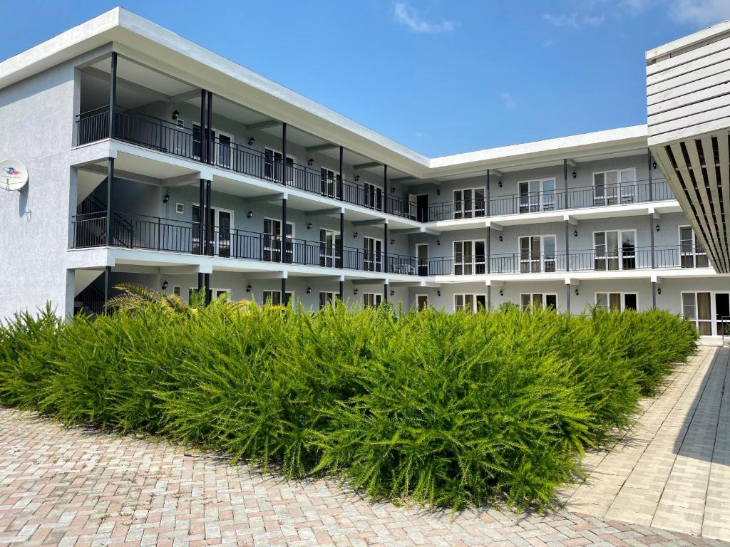 an apartment building with a row of bushes at Hotel Mandarin in Pizunda