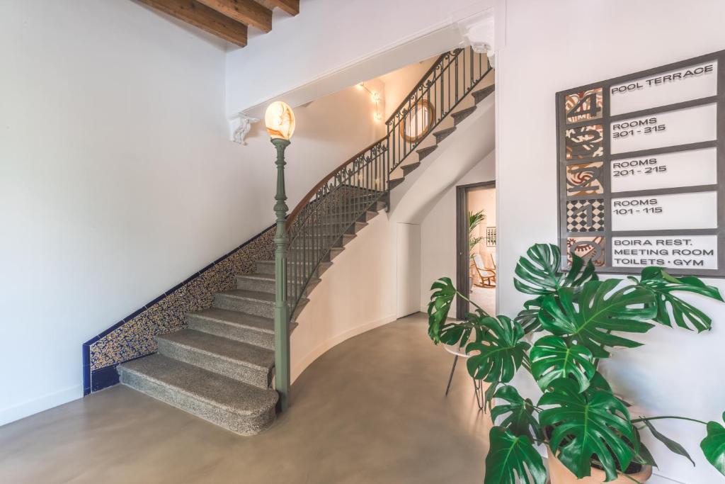 Fotografie z fotogalerie ubytování Nou Baleares v destinaci Palma de Mallorca