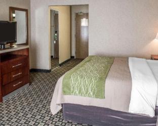 Quality Inn - King Room - No Fumador