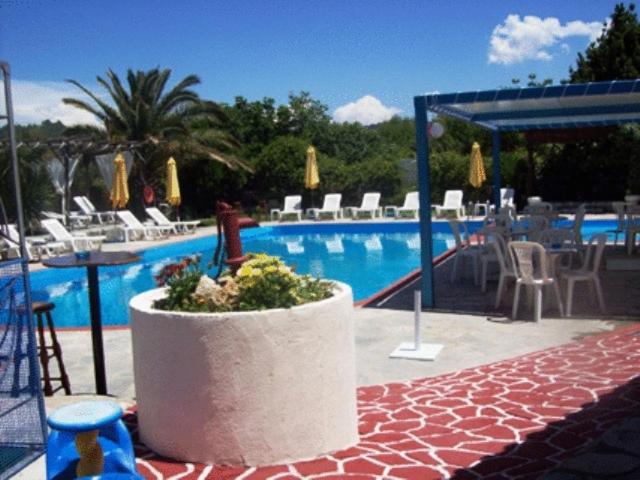 une grande piscine avec des chaises et une plante dans un planteur dans l'établissement Aquarius Hotel, à Fourka