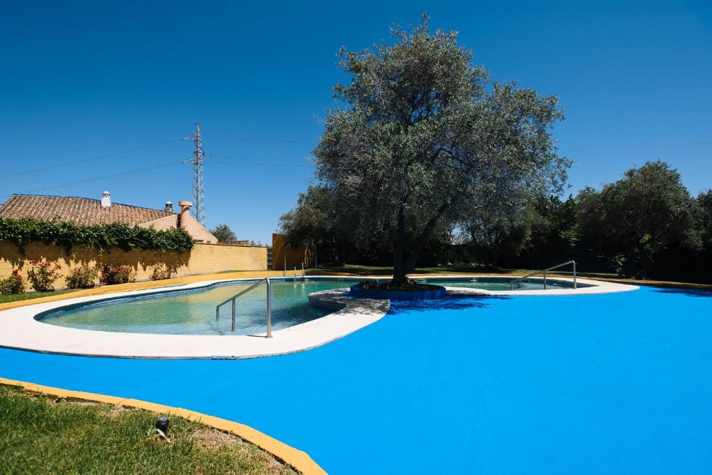 a large swimming pool with a tree in a yard at Apartamento Las Brisas I in Valencina de la Concepción
