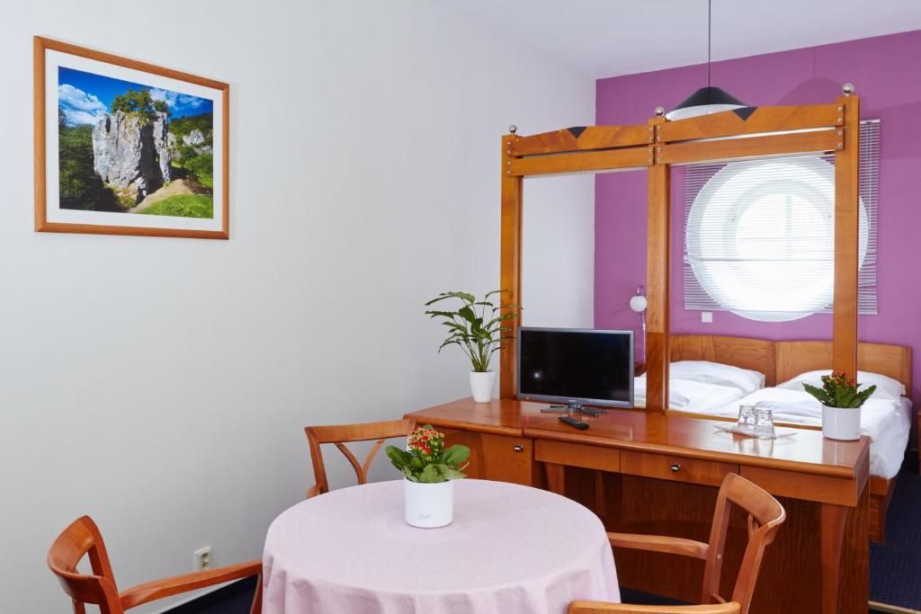 TV a/nebo společenská místnost v ubytování Hotel Skalní Mlýn