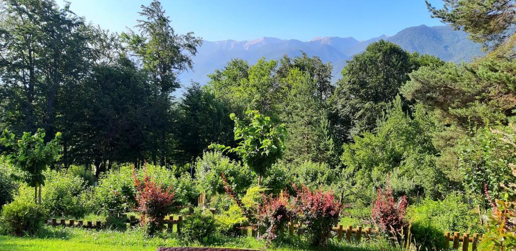 Вила Свети Георги - отзывы и видео